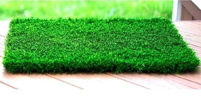 CARPET EMPORIO Artificial Grass
